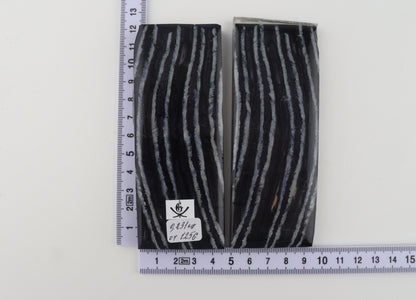 Stabilized mammoth molar scales
