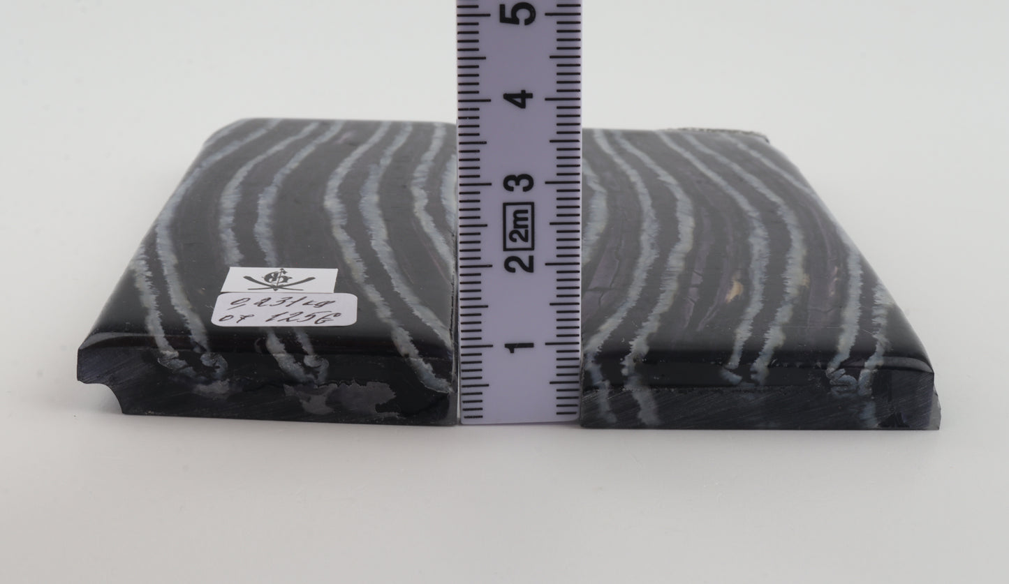 Stabilized mammoth molar scales
