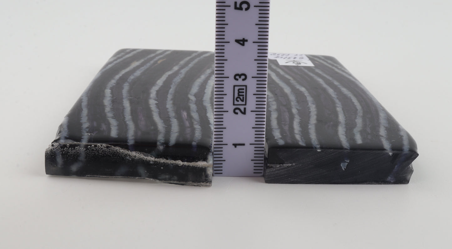 Stabilized mammoth molar scales