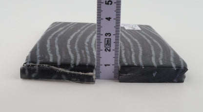 Stabilized mammoth molar scales