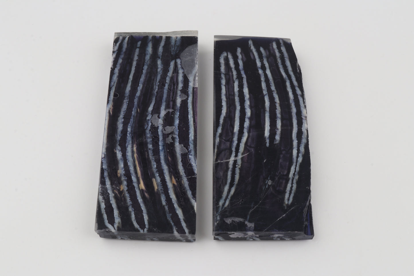 Stabilized mammoth molar scales