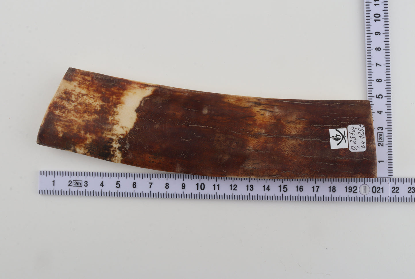 Brown-caramel mammoth bark