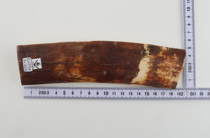 Brown-caramel mammoth bark
