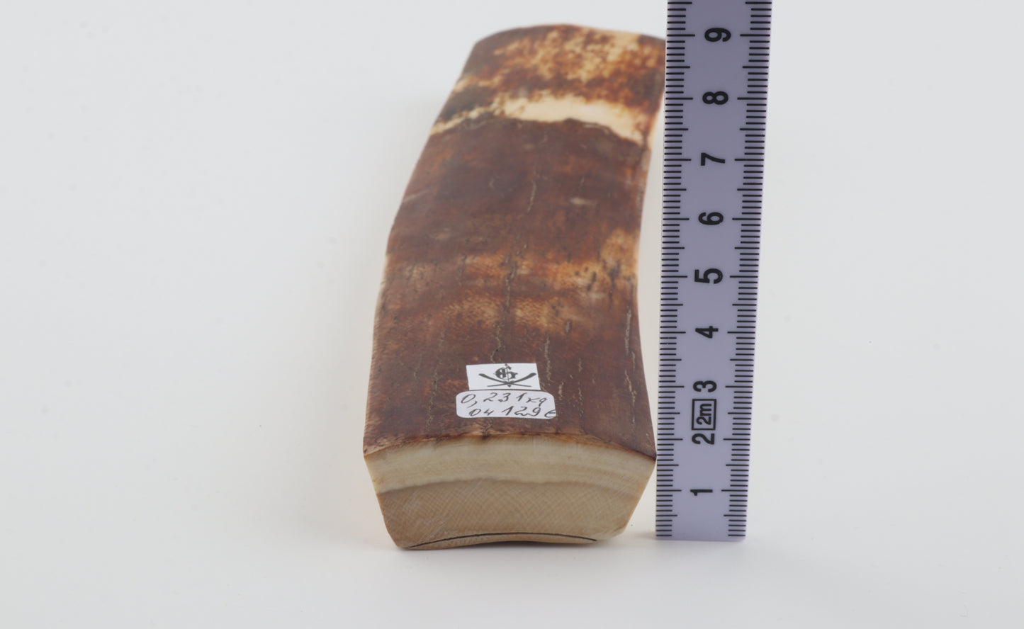 Brown-caramel mammoth bark