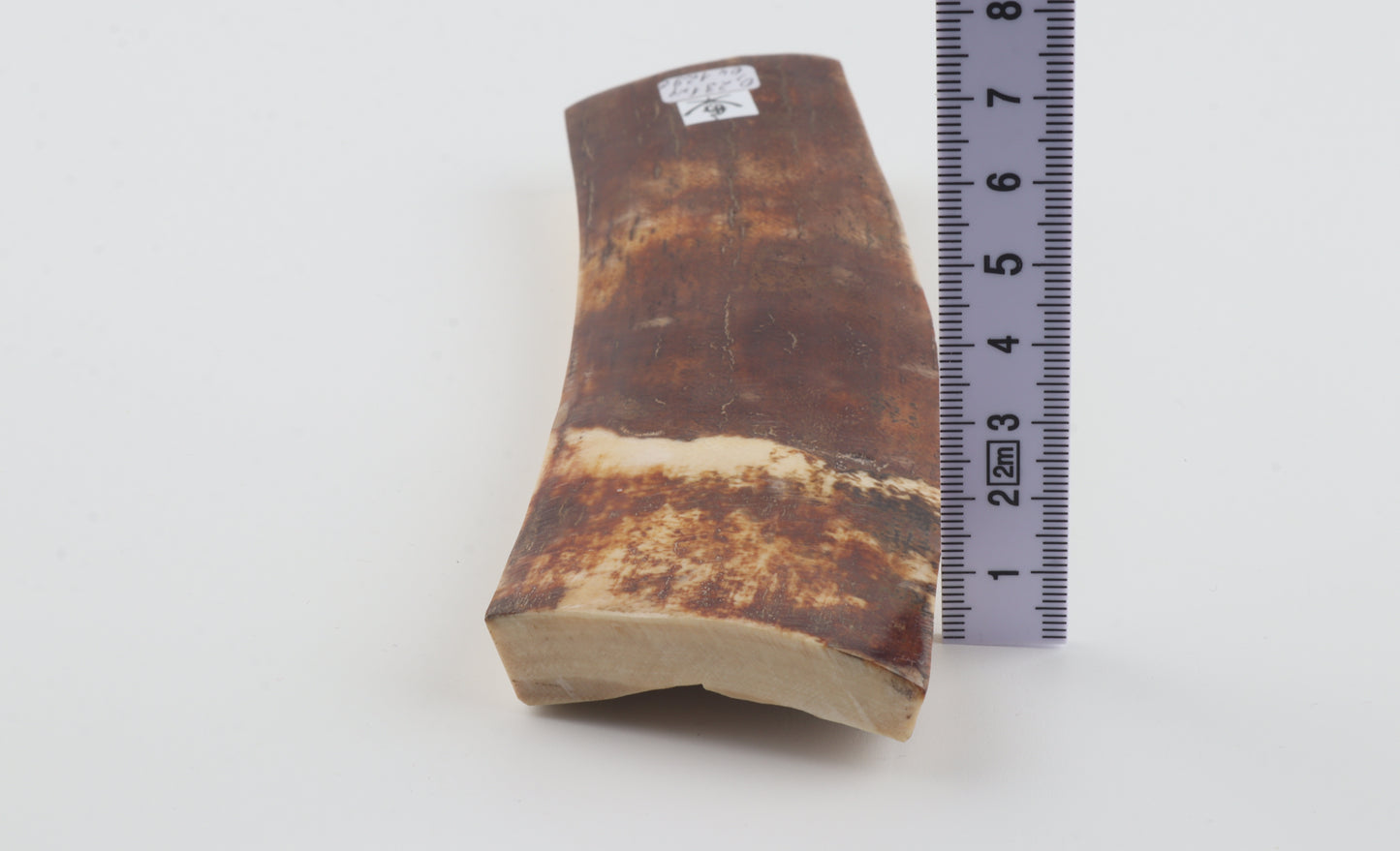 Brown-caramel mammoth bark