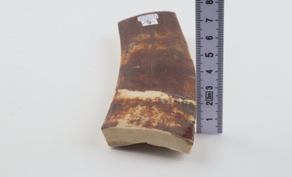 Brown-caramel mammoth bark