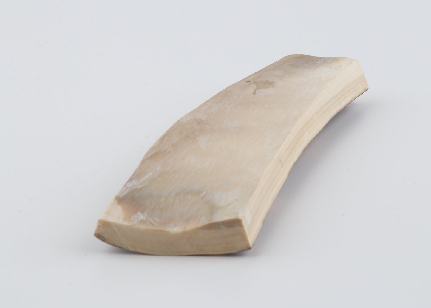 Brown-caramel mammoth bark