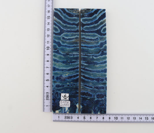 Stabilized mammoth molar scales
