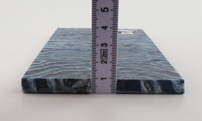 Stabilized mammoth molar scales