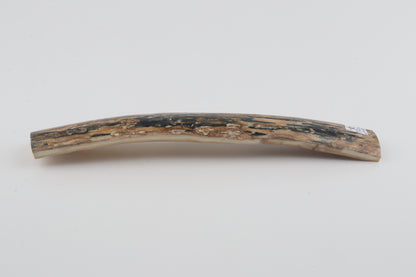 Natural woolly mammoth bark