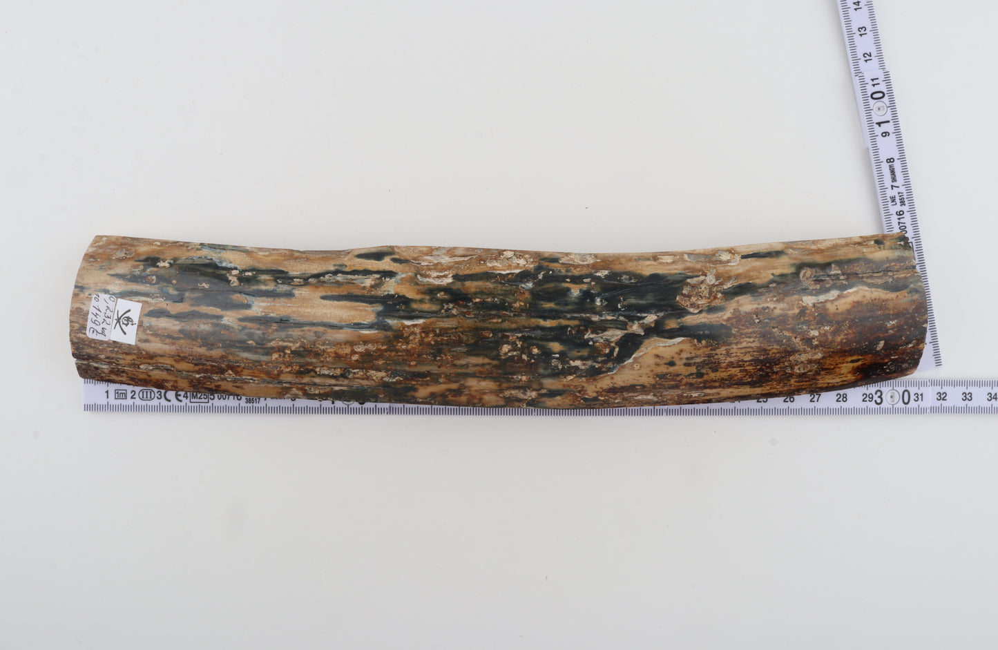 Natural woolly mammoth bark