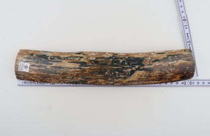 Natural woolly mammoth bark