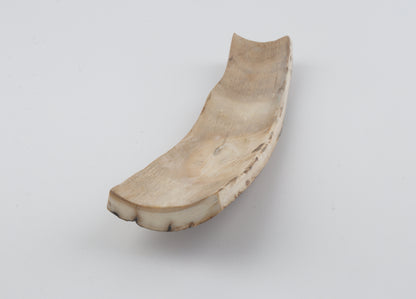 Natural woolly mammoth bark