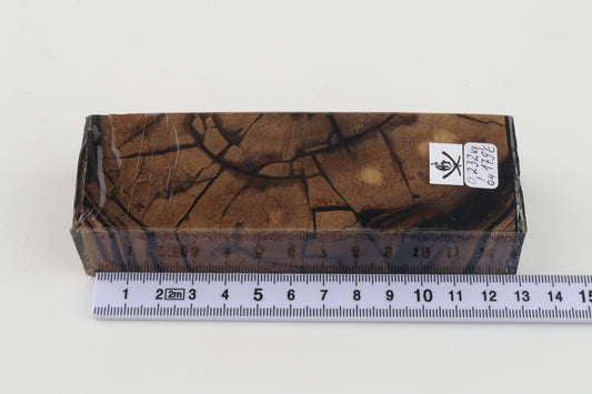 Stabilised mammoth ivory block