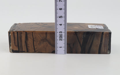 Stabilised mammoth ivory block