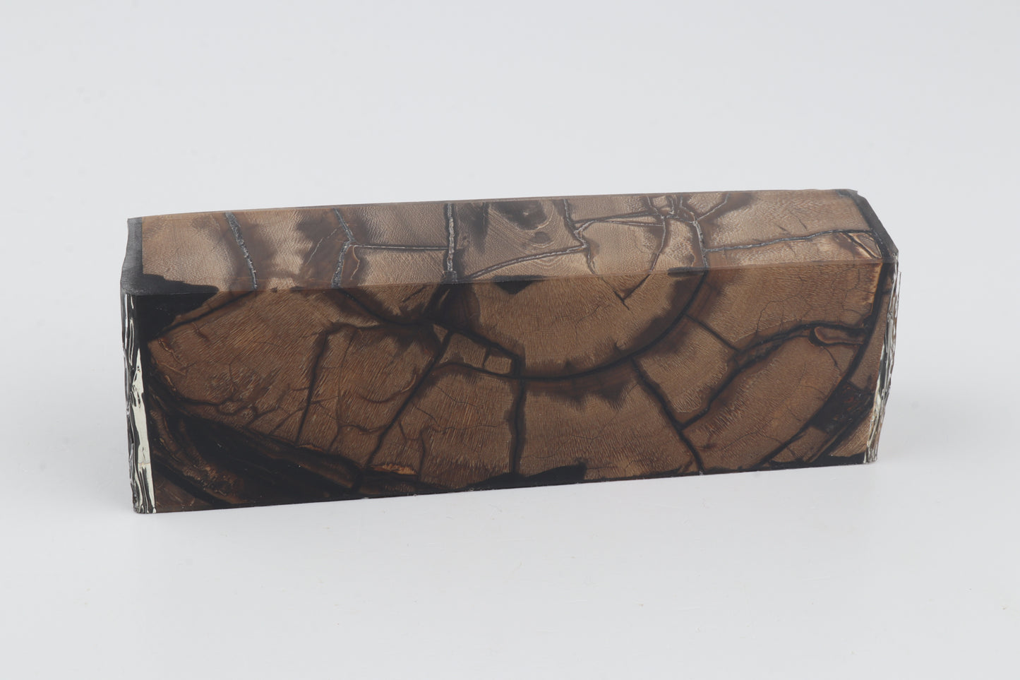 Stabilised mammoth ivory block