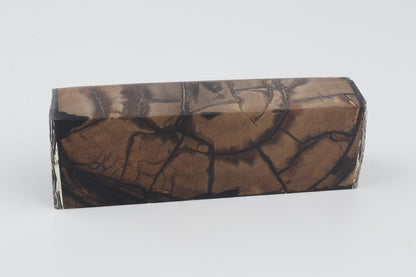 Stabilised mammoth ivory block