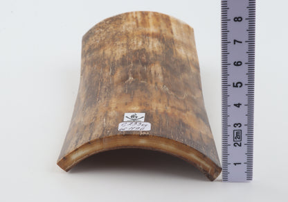 Beige mammoth bark