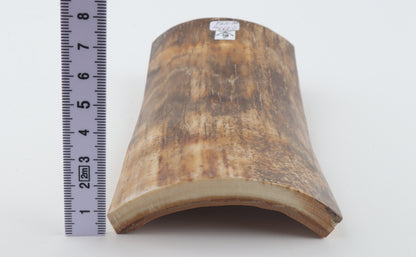 Beige mammoth bark