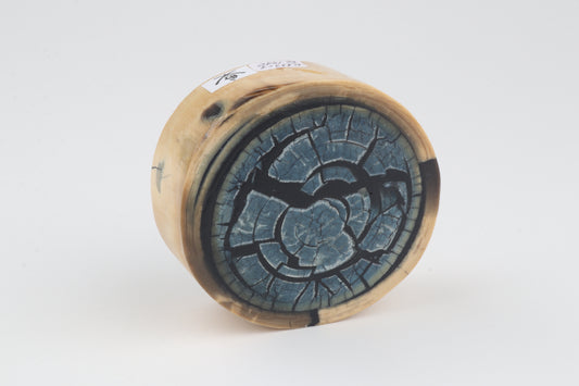 Stabilized mammoth ivory block