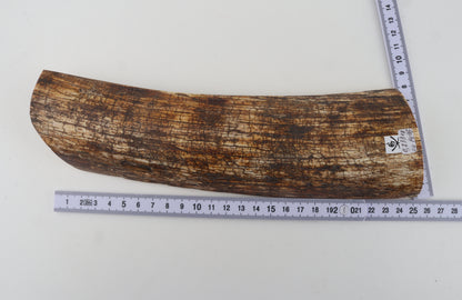 Natural mammoth bark