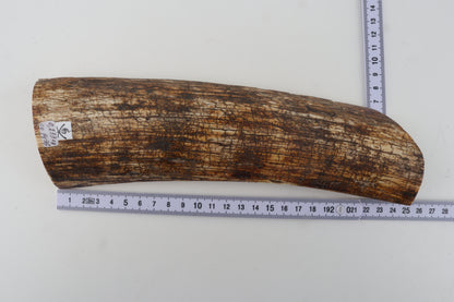 Natural mammoth bark