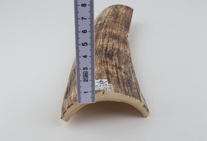 Natural mammoth bark