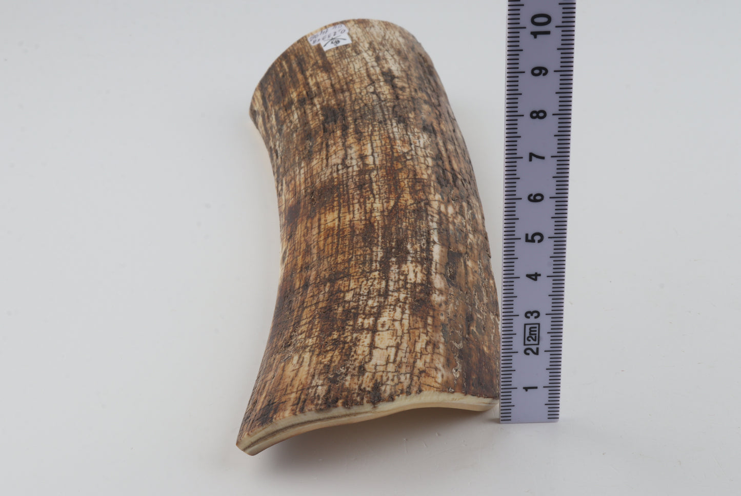 Natural mammoth bark