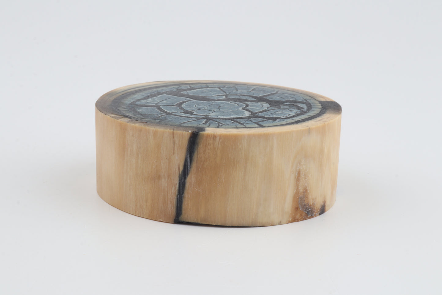 Stabilized mammoth ivory block