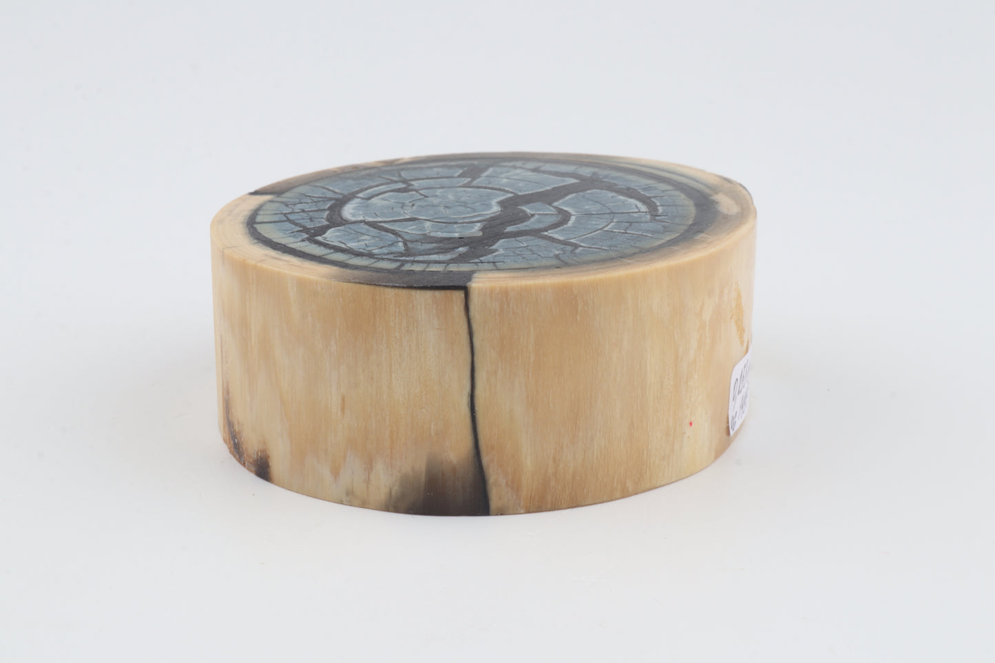 Stabilized mammoth ivory block