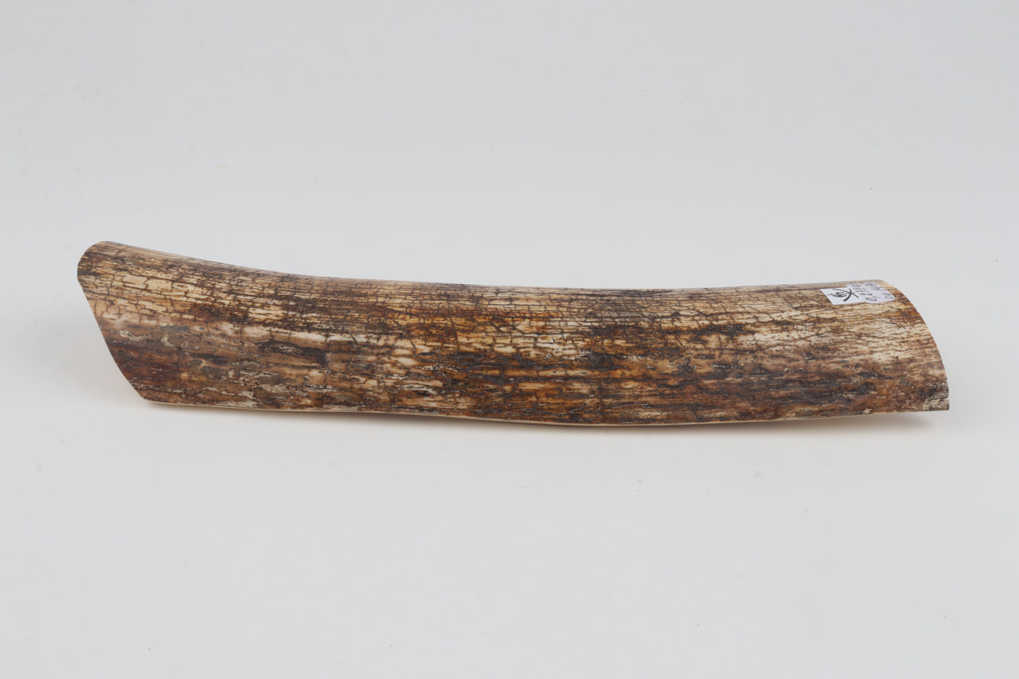 Natural mammoth bark