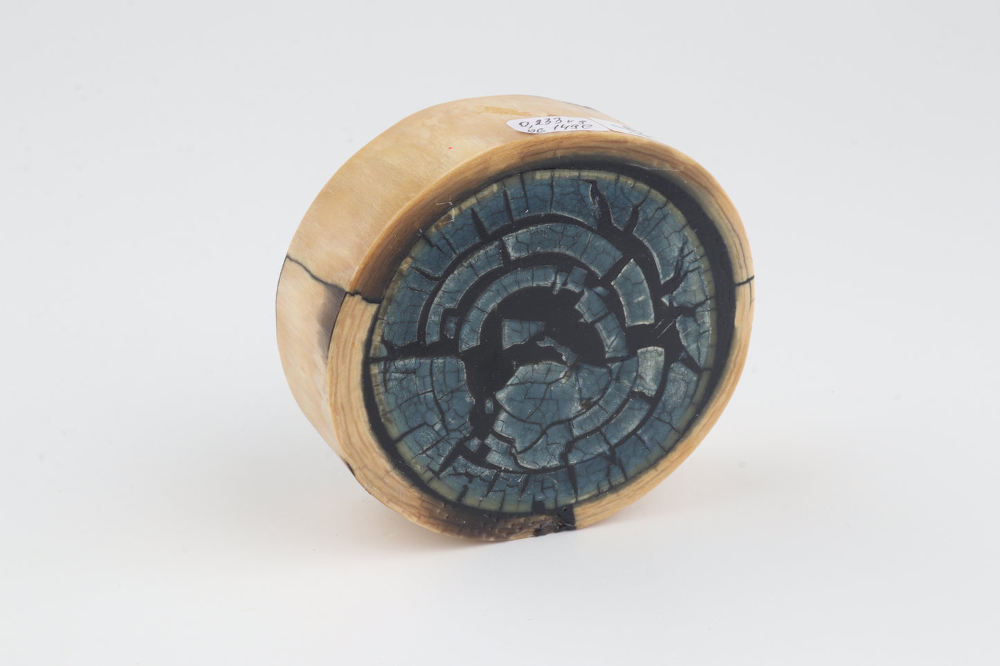 Stabilized mammoth ivory block