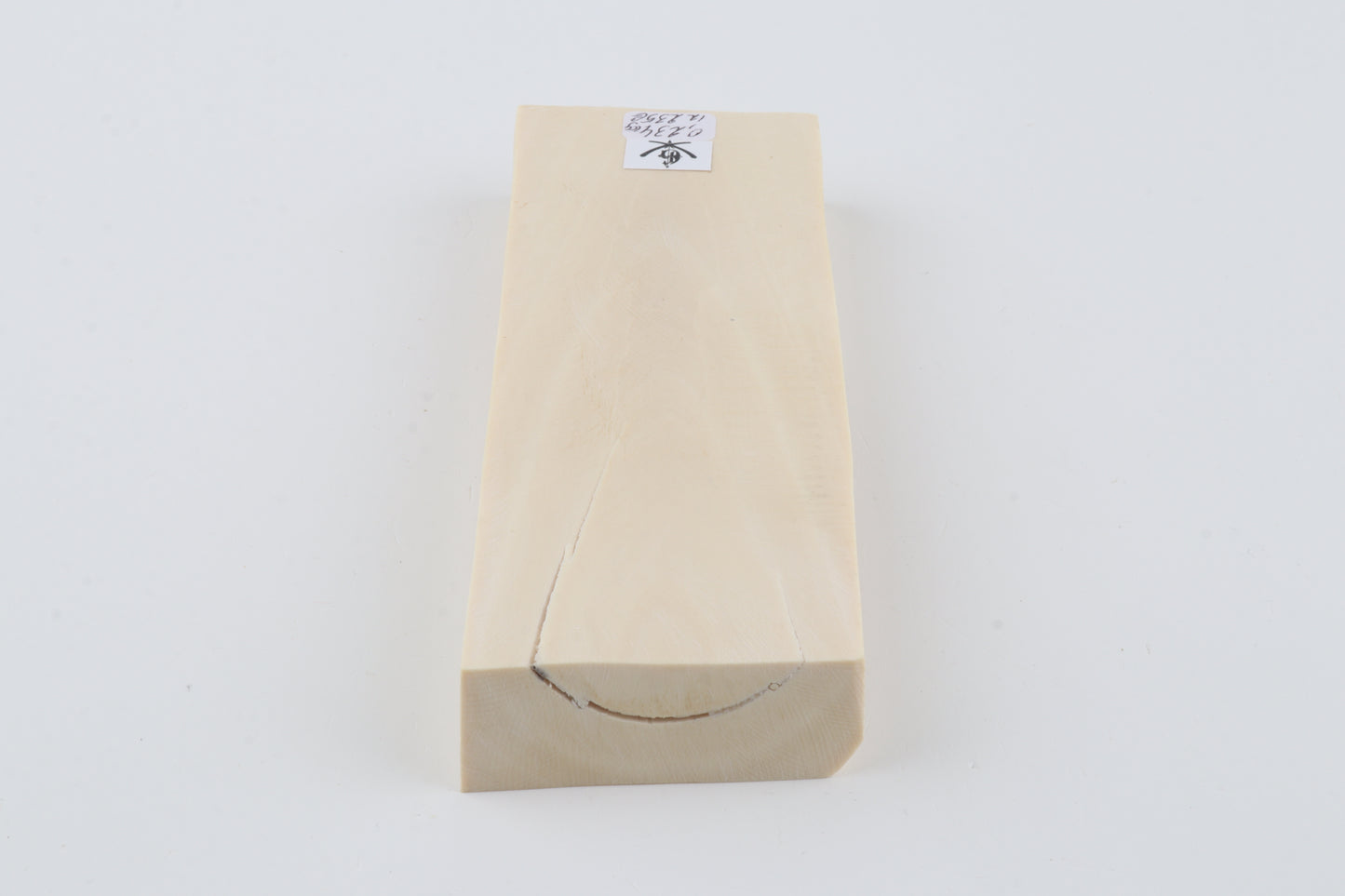 White mammoth ivory segment