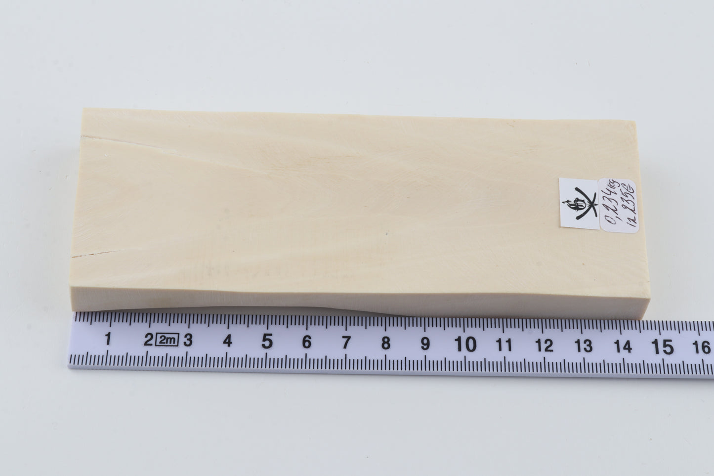 White mammoth ivory segment