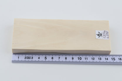 White mammoth ivory segment