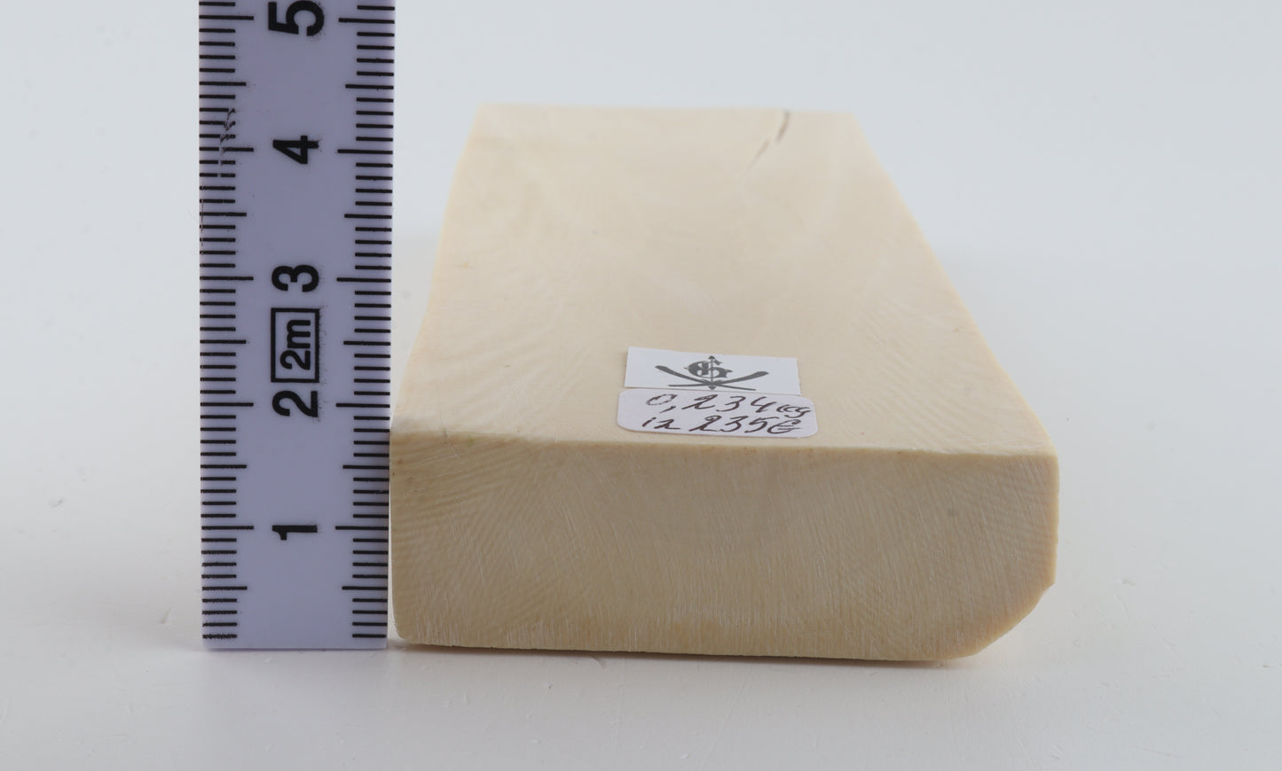 White mammoth ivory segment