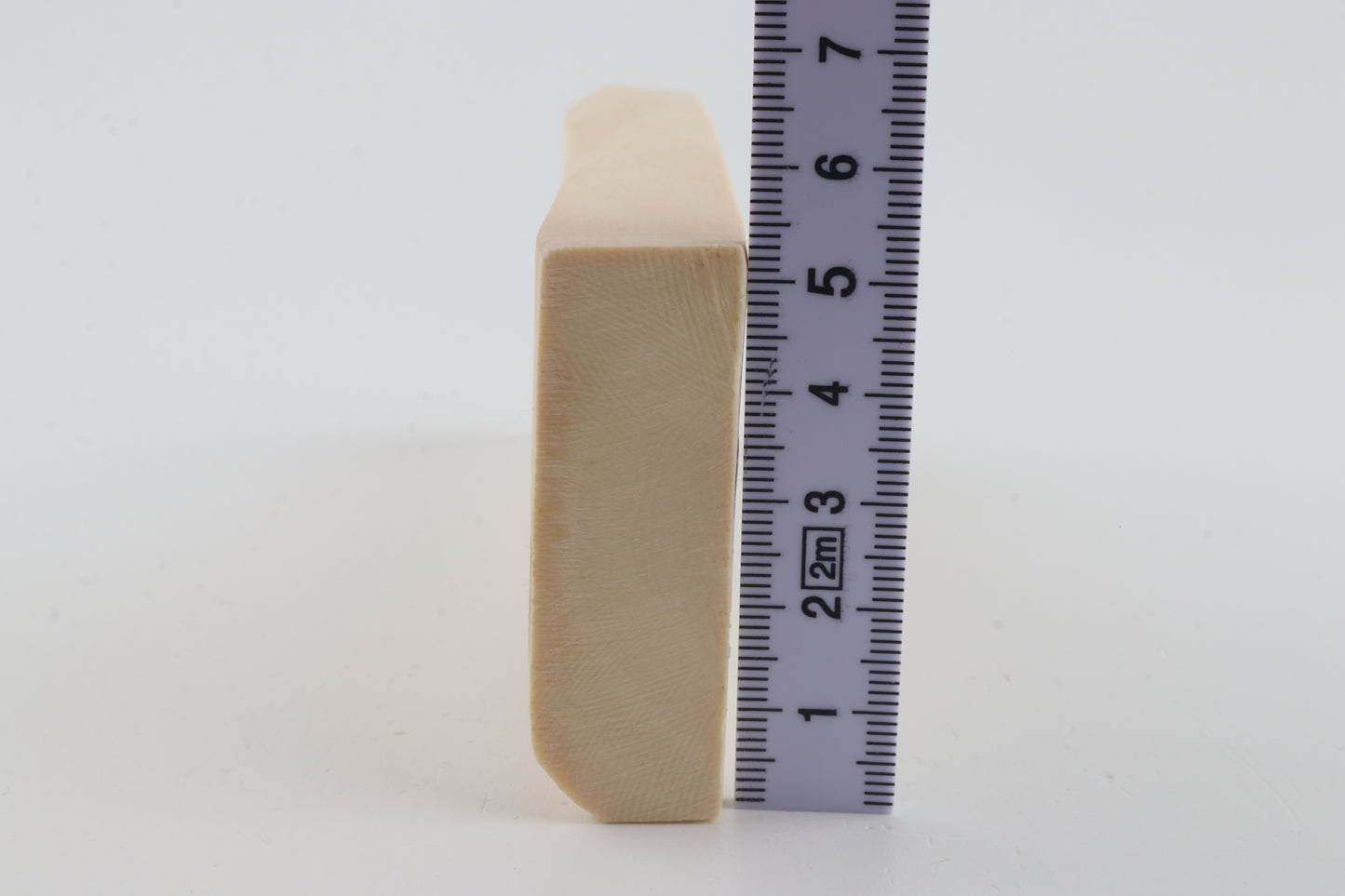 White mammoth ivory segment