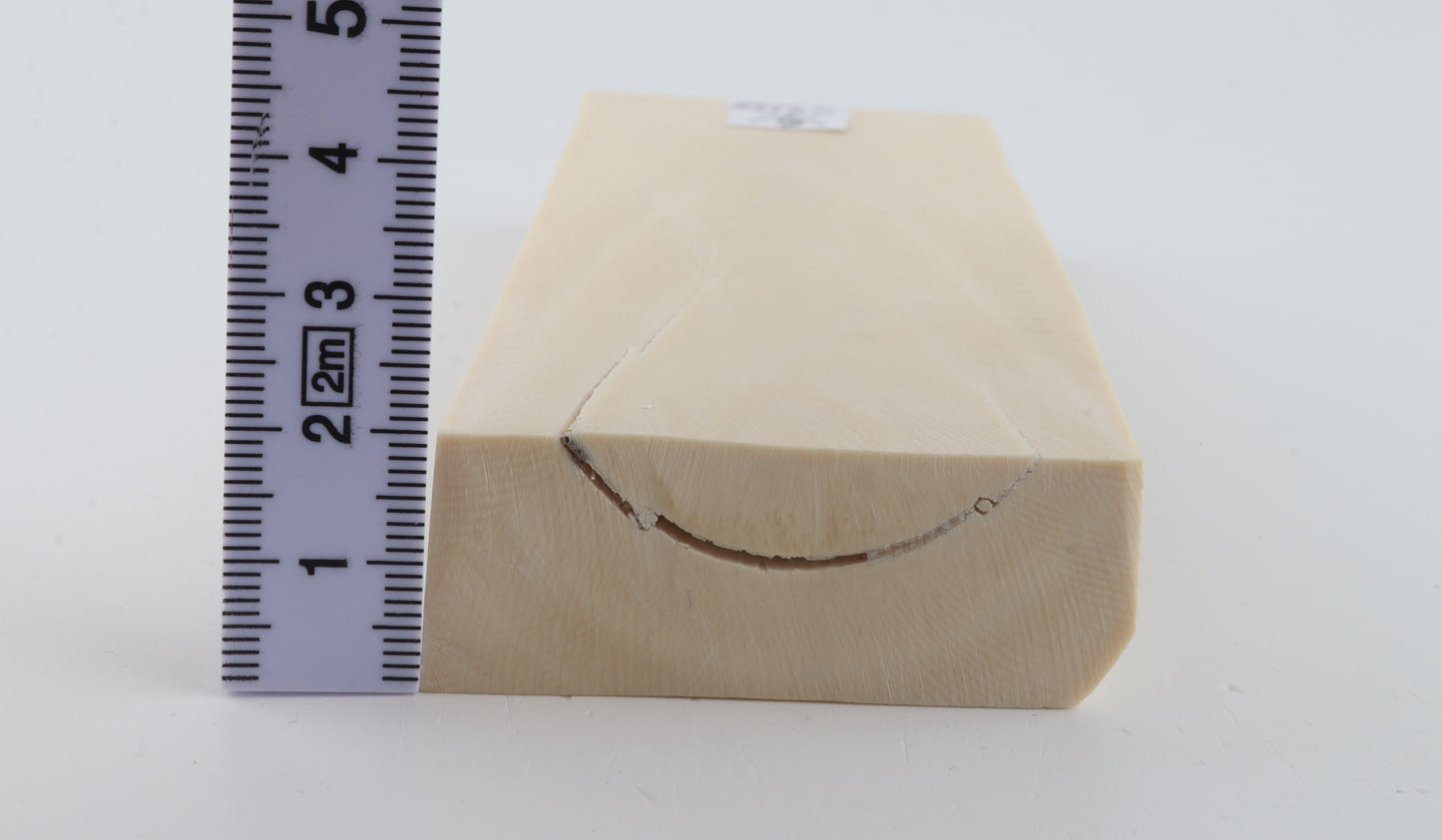 White mammoth ivory segment