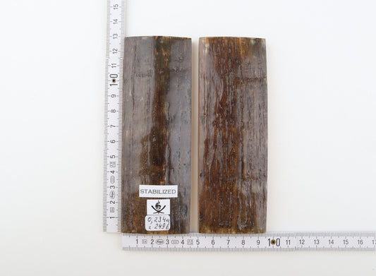 Stabilised mammoth bark scales