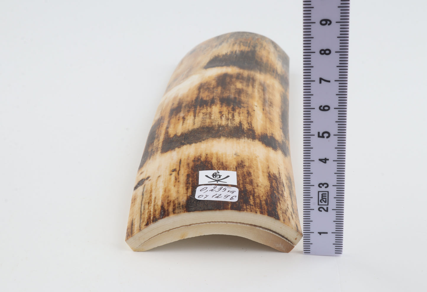 Orange-brown mammoth bark