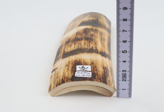 Orange-brown mammoth bark