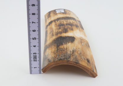 Orange-brown mammoth bark