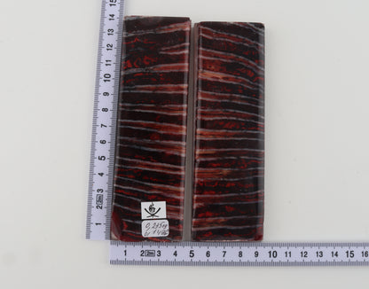 Stabilized mammoth molar scales