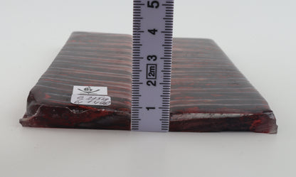 Stabilized mammoth molar scales