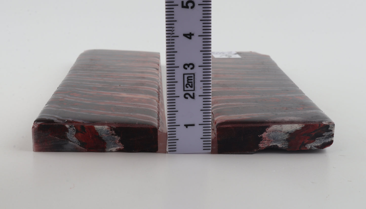 Stabilized mammoth molar scales