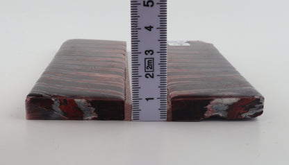 Stabilized mammoth molar scales
