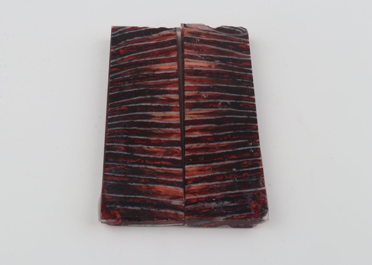 Stabilized mammoth molar scales