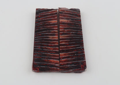 Stabilized mammoth molar scales