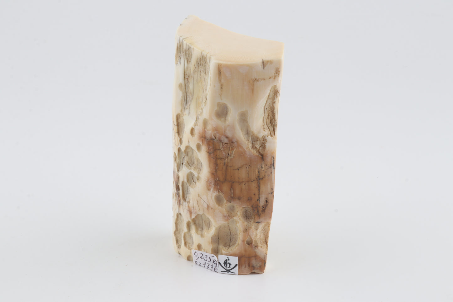 Natural mammoth ivory piece