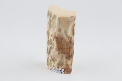 Natural mammoth ivory piece